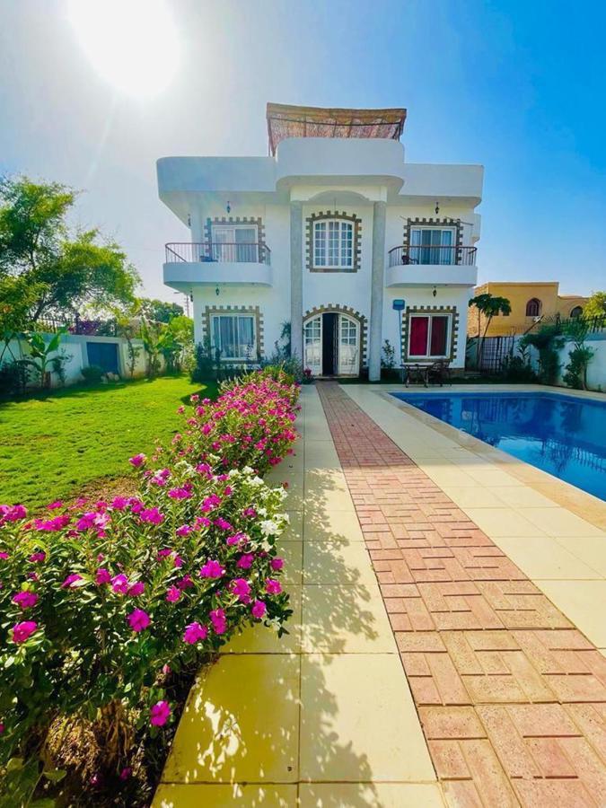 Ali Luxury Villa Luxor Exteriör bild